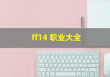 ff14 职业大全